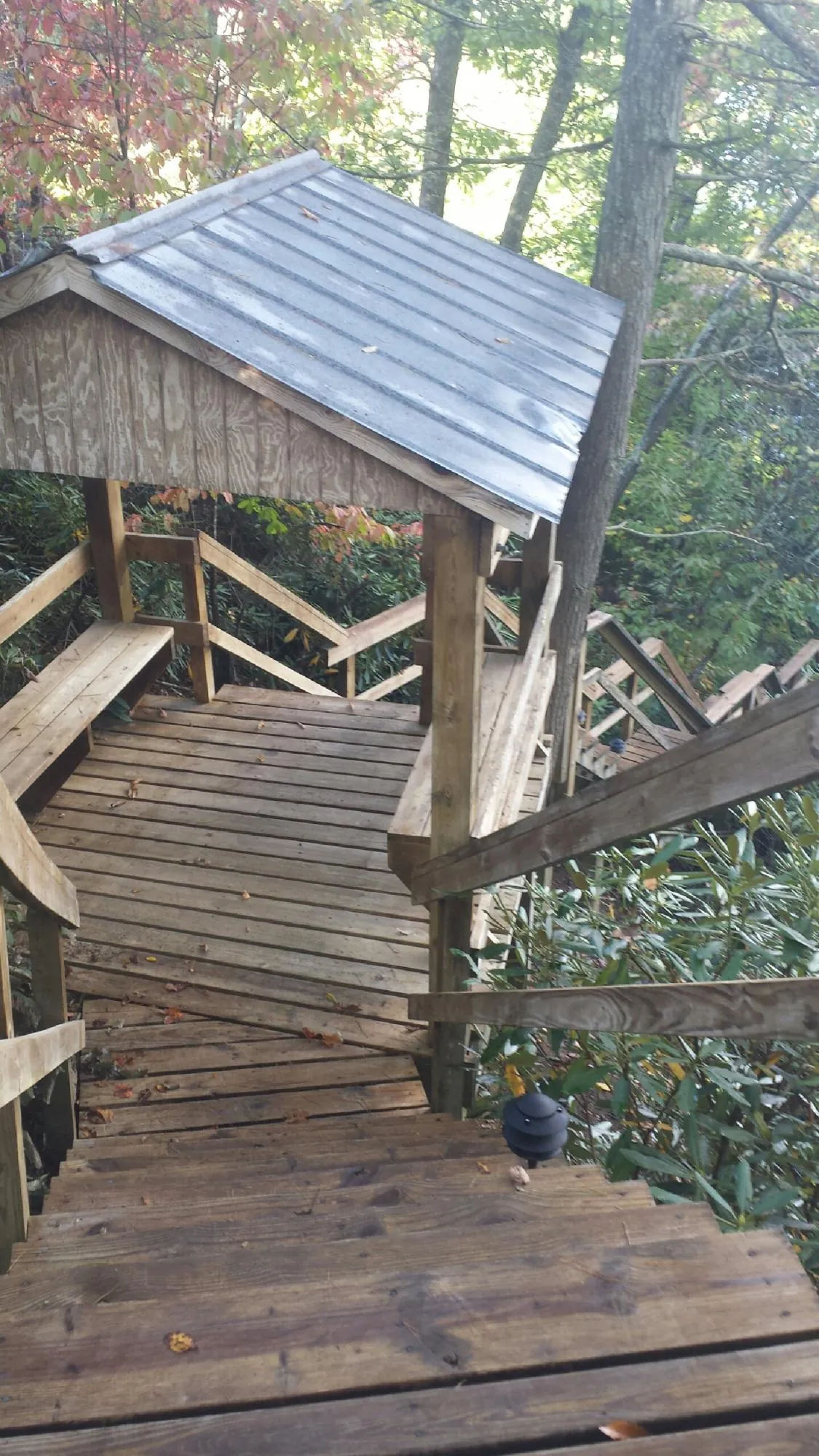Metal roofed shelter over wooden steps on a wooded walkway — Skylight Repair & Installation work by our crew in Cedar