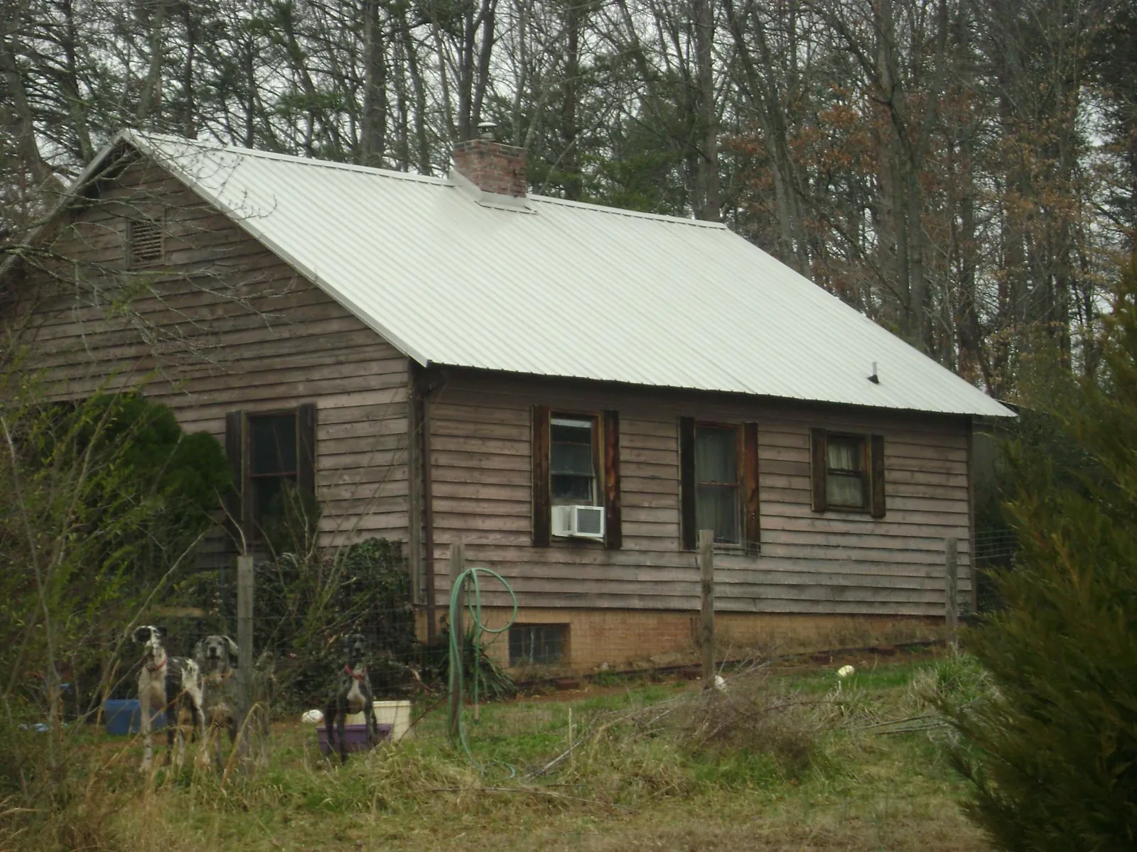 White metal roof on an old wood sided farmhouse, from a Metal Roof Installation job in Cedar